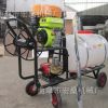 手推園林果園噴農(nóng)藥機(jī) 高壓噴霧機(jī) 手推式噴霧器價(jià)格